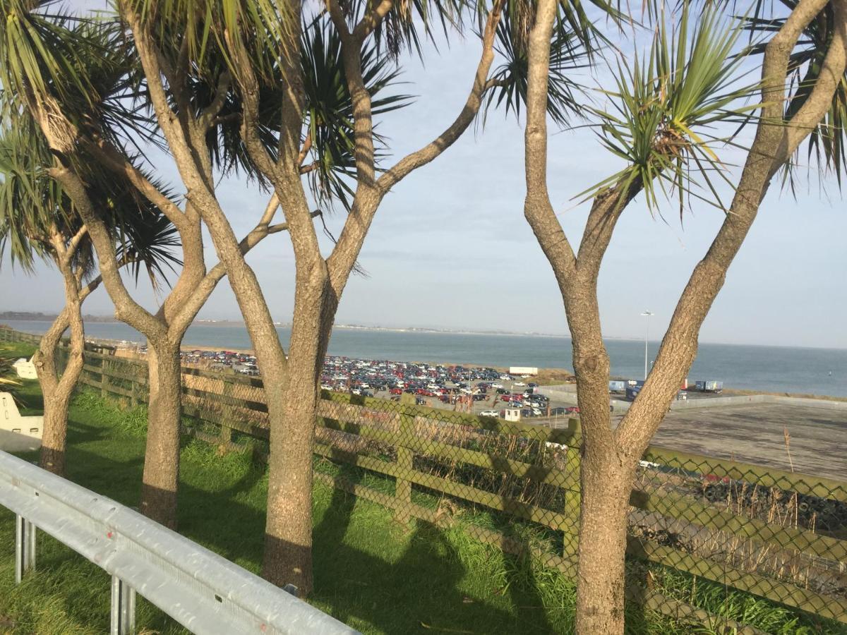 Coral Gables Guesthouse & Campsite Rosslare Harbour Ngoại thất bức ảnh
